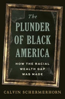 The Plunder of Black America : How the Racial Wealth Gap Was Made-9780300258950