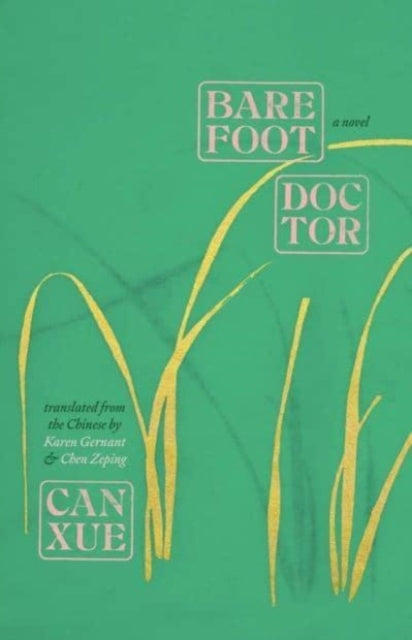 Barefoot Doctor : A Novel-9780300274035