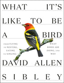 What It''s Like to Be a Bird