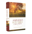 Amplified Holy Bible, Large Print, Hardcover : Captures the Full Meaning Behind the Original Greek and Hebrew-9780310444039
