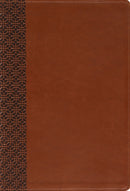 Amplified Holy Bible, Large Print, Leathersoft, Brown