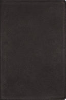 NRSVue, Single-Column Reference Bible, Genuine Calfskin Leather, Black, Art Gilded Edges, Comfort Print
