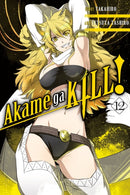 Akame ga KILL!, Vol. 12-9780316473323
