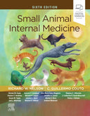 Small Animal Internal Medicine-9780323676946