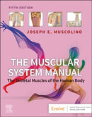 The Muscular System Manual : The Skeletal Muscles of the Human Body-9780323812757