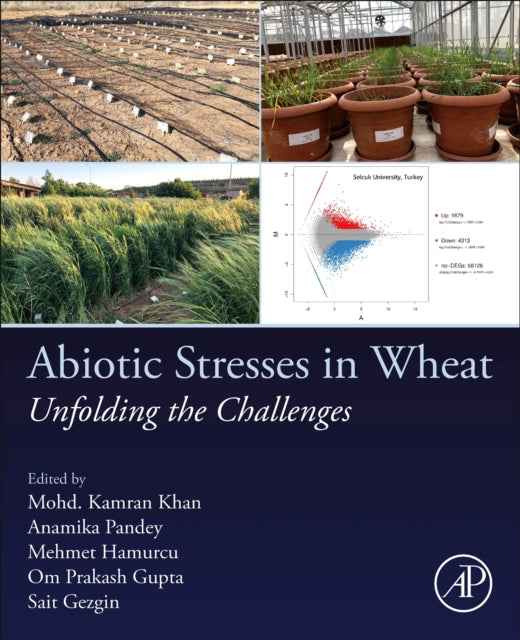 Abiotic Stresses in Wheat : Unfolding the Challenges-9780323953689