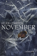 November-9780330535007