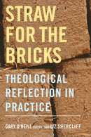 Straw for the Bricks : Theological Reflection in Practice-9780334055006
