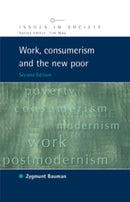 Work, Consumerism and the New Poor-9780335215980
