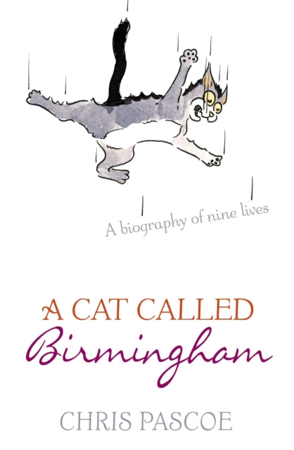 A Cat Called Birmingham-9780340836071