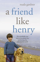 A Friend Like Henry-9780340934029