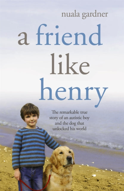 A Friend Like Henry-9780340934029