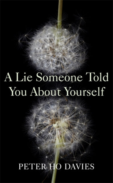 A Lie Someone Told You About Yourself-9780340980279