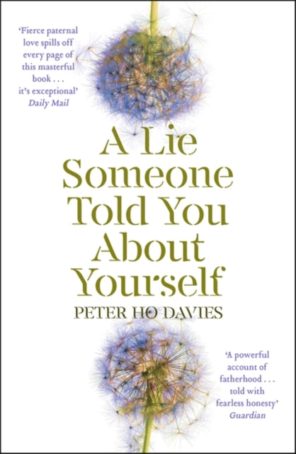 A Lie Someone Told You About Yourself-9780340980293