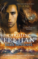 Dark Sentinel-9780349419770