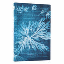 Sea Flowers (Anna Atkins' Cyanotypes) Mini Lined Softcover Journal (Elastic Band Closure)-9780349713694