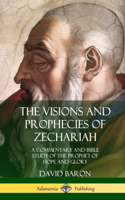 The Visions and Prophecies of Zechariah : A Commentary and Bible Study of the Prophet of Hope and Glory (Hardcover)-9780359033959