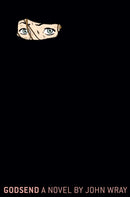 Godsend : A Novel-9780374164706