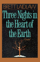 Three Nights in the Heart of the Earth : A Novel-9780393335958