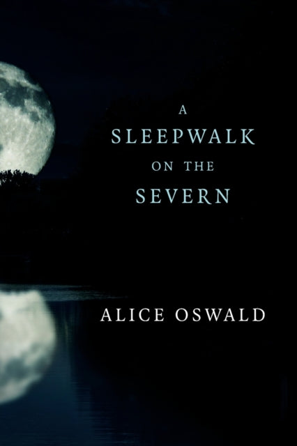 A Sleepwalk on the Severn-9780393355970