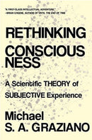 Rethinking Consciousness : A Scientific Theory of Subjective Experience-9780393541342
