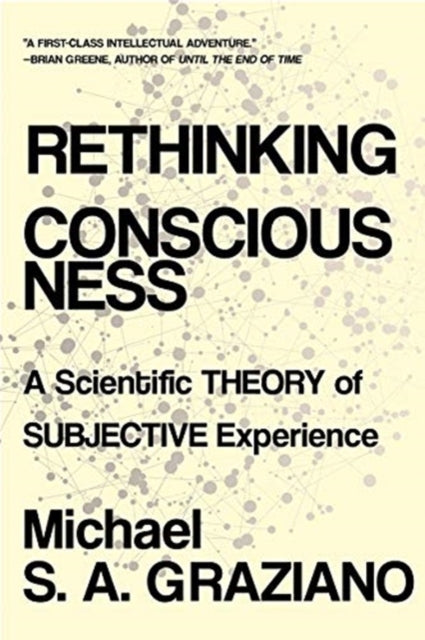 Rethinking Consciousness – A Scientific Theory of Subjective Experience