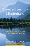 Trauma-Sensitive Mindfulness : Practices for Safe and Transformative Healing-9780393709780