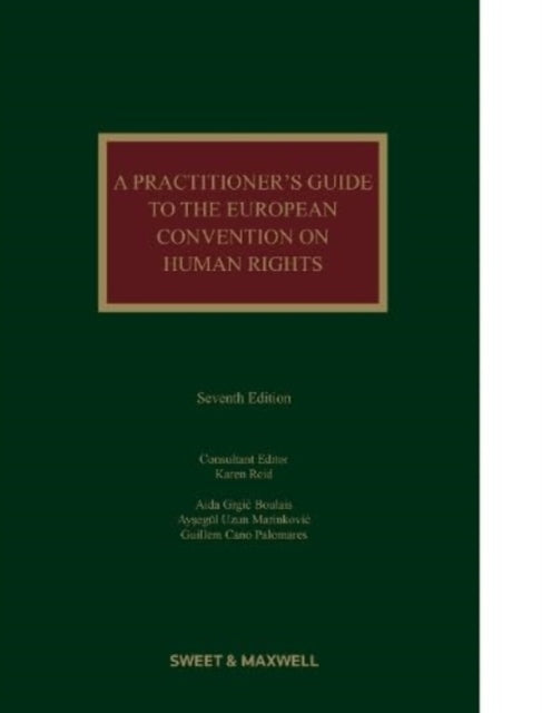 A Practitioner's Guide to the European Convention on Human Rights-9780414112094