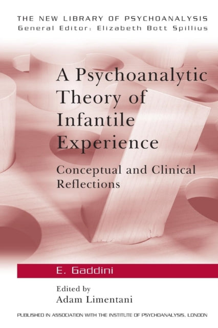 A Psychoanalytic Theory of Infantile Experience : Conceptual and Clinical Reflections-9780415074353