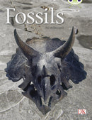 Bug Club Guided Non Fiction Year Two Gold A Fossils-9780433004424