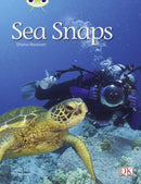 Bug Club Independent Non Fiction Year 1 Green A Sea Snaps-9780433004462