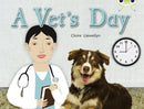 Bug Club Guided Non Fiction Year 1 Green B A Vet's Day-9780433004493