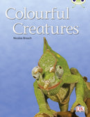 Bug Club Independent Non Fiction Year Two Orange B Colourful Creatures-9780433004608