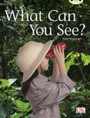 Bug Club Guided Non Fiction Reception Red A  What Can You See?-9780433004707