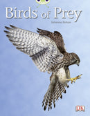 Bug Club Independent Non Fiction Year Two White A Birds of Prey-9780433004806