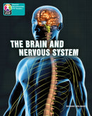 PYP L10 Brain and nervous system 6PK