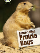 Bug Club Independent Non Fiction Year Two White B Black-tailed Prairie Dogs-9780435076344