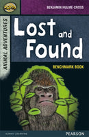 Rapid Stage 7 Assessment book: Lost and Found-9780435152291