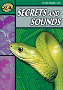 Rapid Reading: Secrets & Sounds (Stage 5, Level 5B)-9780435910815