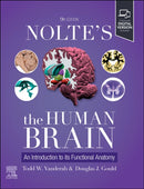 Nolte's The Human Brain : An Introduction to its Functional Anatomy-9780443126864