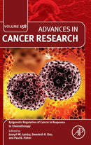 Epigenetic Regulation of Cancer in Response to Chemotherapy : Volume 158-9780443194184