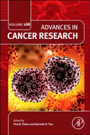 Advances in Cancer Research : Volume 168-9780443344817