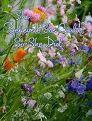 She Believed She Could, So She Did : Inspirational Quote, Beautiful Wildflowers Design Notebook, Journal-9780464317852