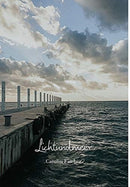 Lichtundmeer : Goldene Grashalme in der Abendsonne-9780464816270
