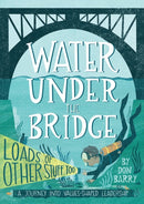 Water Under the Bridge : A Journey into Values-Shaped Leadership-9780473303389