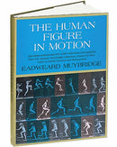 The Human Figure in Motion-9780486202044