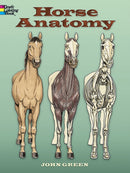 Horse Anatomy Coloring Book-9780486448138