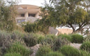 National Museum of Qatar