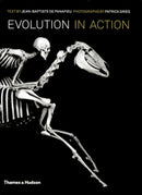 Evolution in Action : Natural History through Spectacular Skeletons-9780500515983