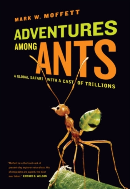 Adventures among Ants : A Global Safari with a Cast of Trillions-9780520271289